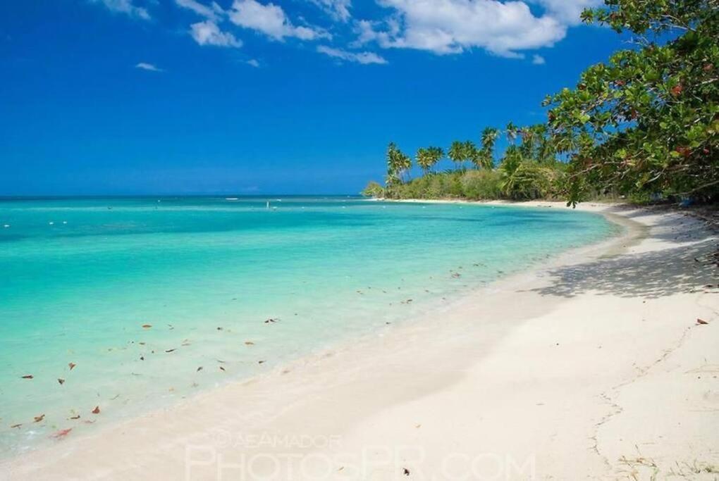 2-Br Modern Oceanfront Apt Steps From Playa Sucia Cabo Rojo Exterior photo